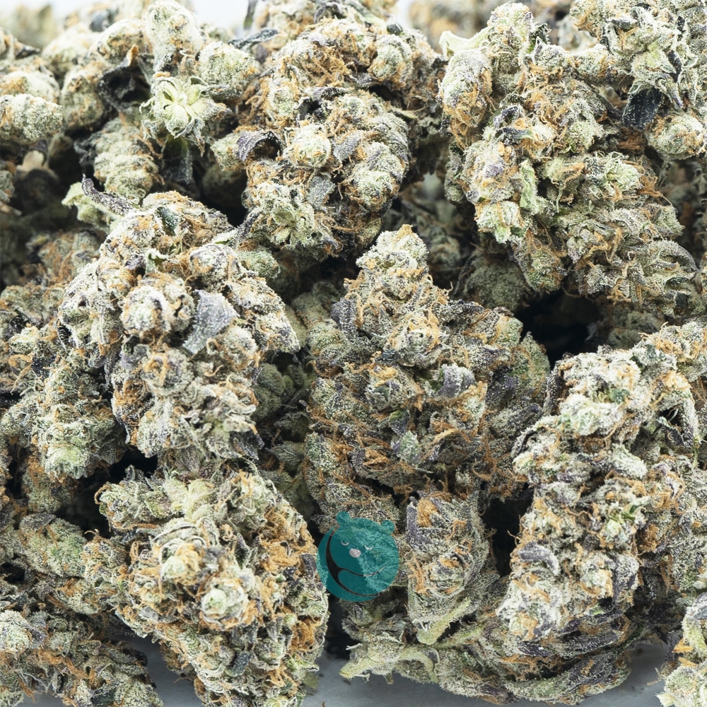 Bubble Burzt AAAA Indica West Coast Releaf Online Dispensary Shop