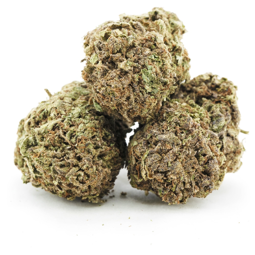 Kashmir Kush AA Hybrid West Coast Releaf Online Dispensary Canada