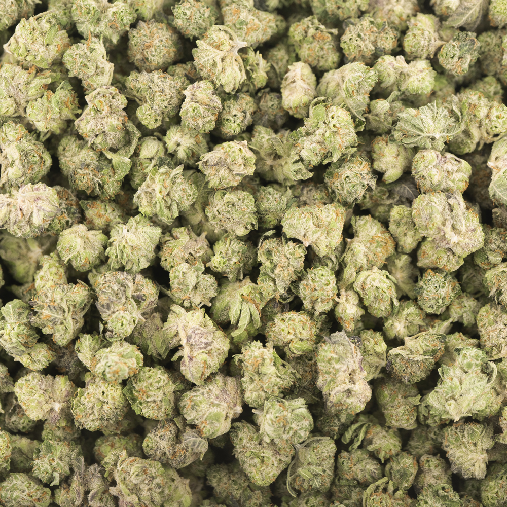 Super Sour Skunk Craft Popcorn Hybrid West Coast Releaf Online