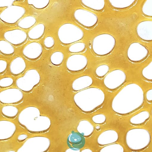 Shatter - Where's My Bike - Sativa