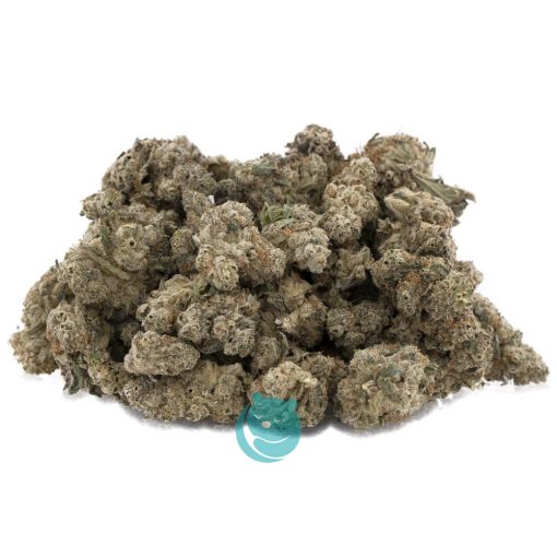 Wholesale - Donkey Breath - AAAA