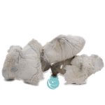 shrooms albino avery three