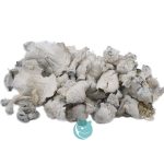 shrooms albino avery wholesale