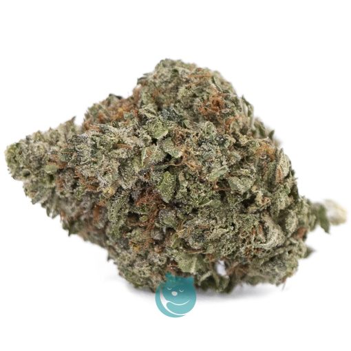 tuna aa nug