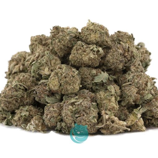 el jefe aa wholesale