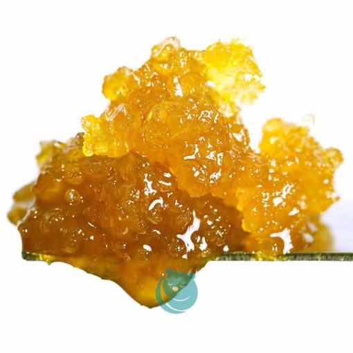 live resin - dog walker OG - indica