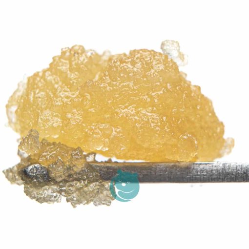 live resin - dosi cake - indica