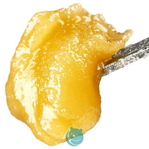 Live Resin - Gelato - indica