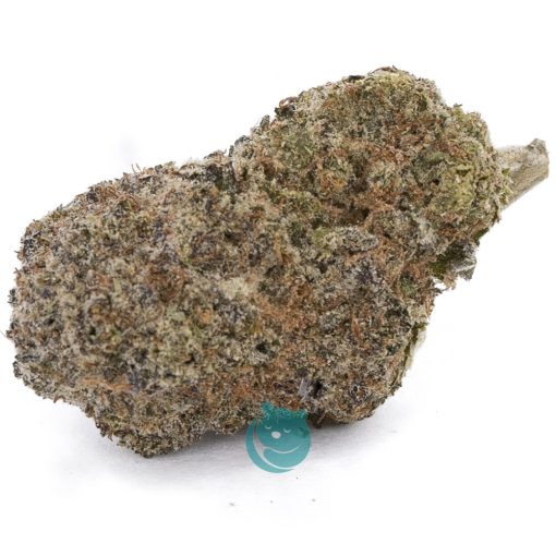 ninja fruit aaaa nug