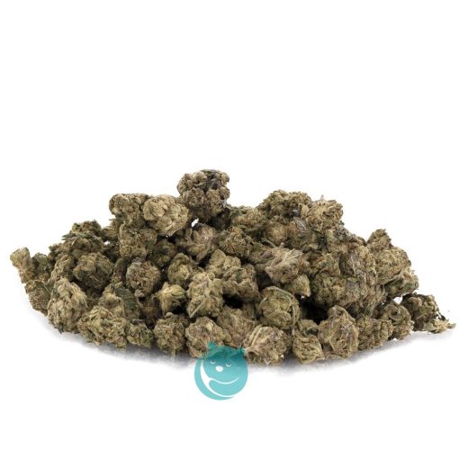 Wholesale - Snoop's Dream - AA