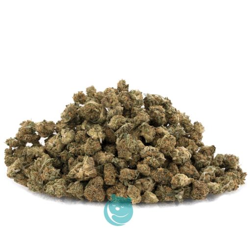 space monkey aa wholesale