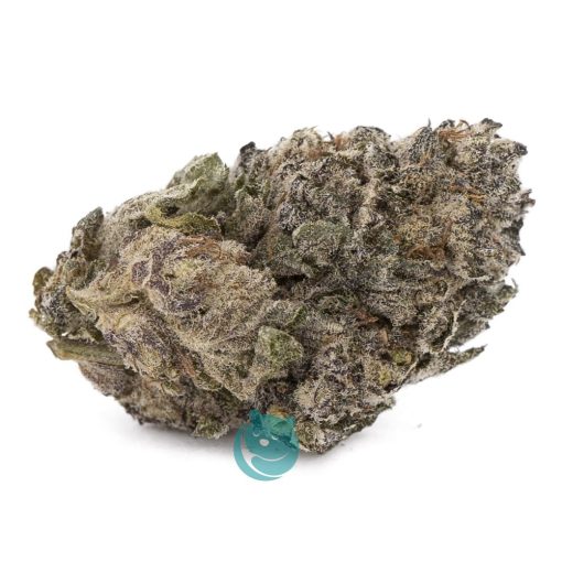 sensi star a nug