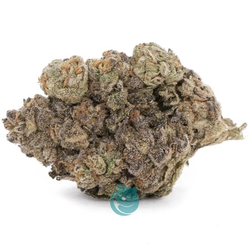 LA Cookies AAAA - Hybrid