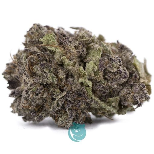 Rocket Fuel AA - Indica