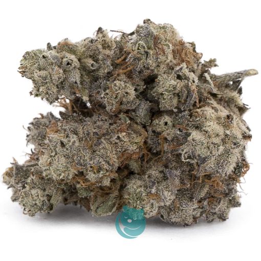 donkey breath aaaa nug