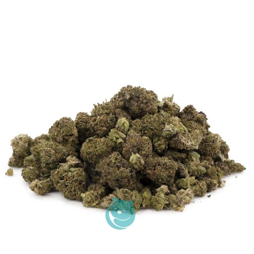 hogs breath aa wholesale