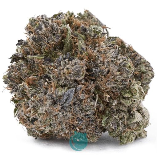 purple candy aaaa nug