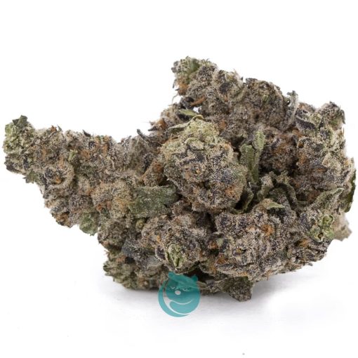 alien rift aaa nug