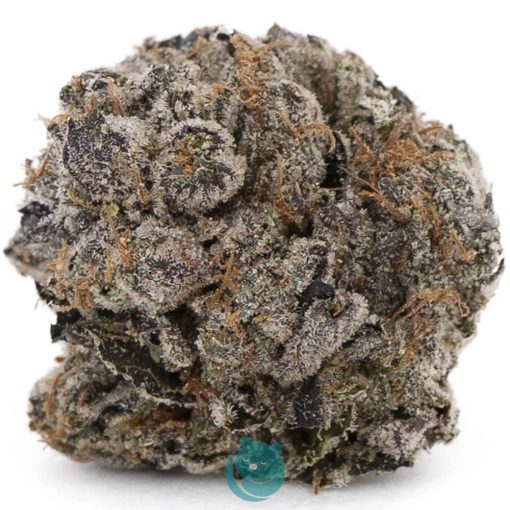 Atomic Pink AAAA - Hybrid