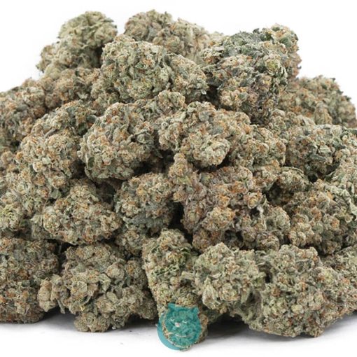 Wholesale - Berry Pie - Craft