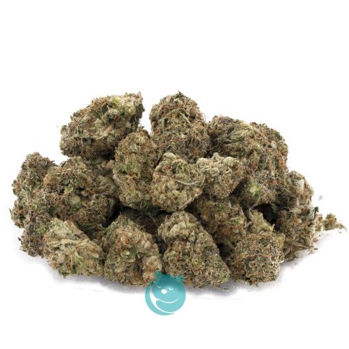 Wholesale - Blueberry Muffin - Craft