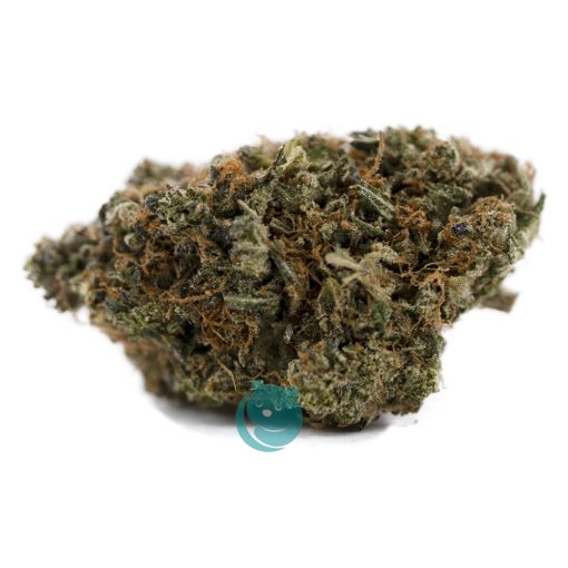 Cinex AA - Sativa