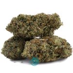 cinex - aa - three nug