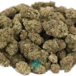 cinex - aa - wholesale