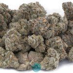 craft cookies n cream wholesale