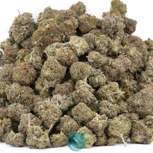 Wholesale - Do-Si-Dos - A