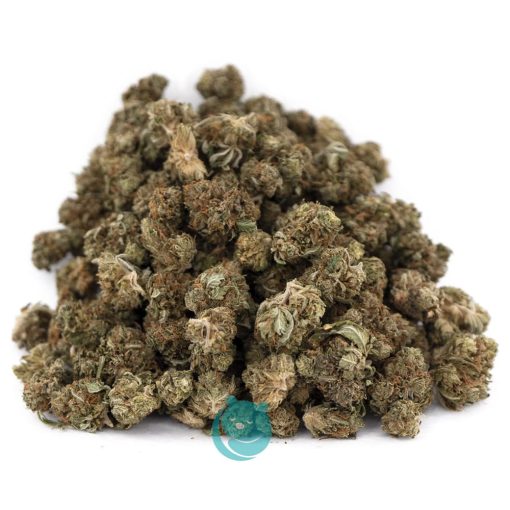 Wholesale - Harambe - A