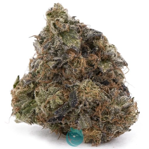 larry bird aaaa nug