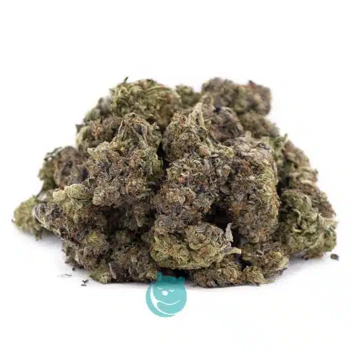 Wholesale - Larry Bird - AAAA