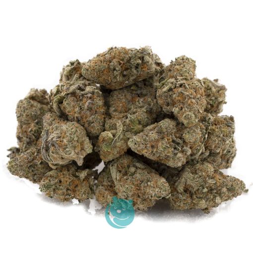 Wholesale - Living Soil Organic - Grape Milkshake - Craft