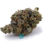Marshmallow AA - Indica