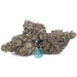 craft mochi three nug