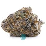 craft papa g nug