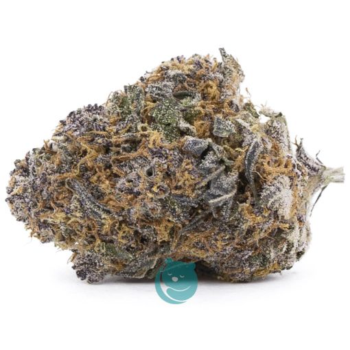 craft papa g nug