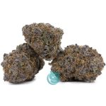 craft papa g three nug