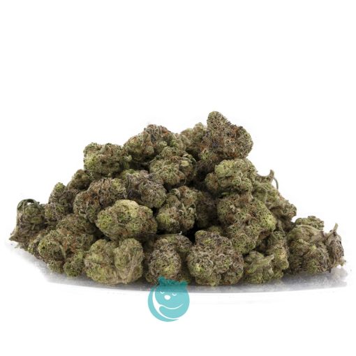 peanutbutter rockstar aaaa wholesale