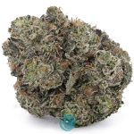Pink Rob Ford AAAA - Indica