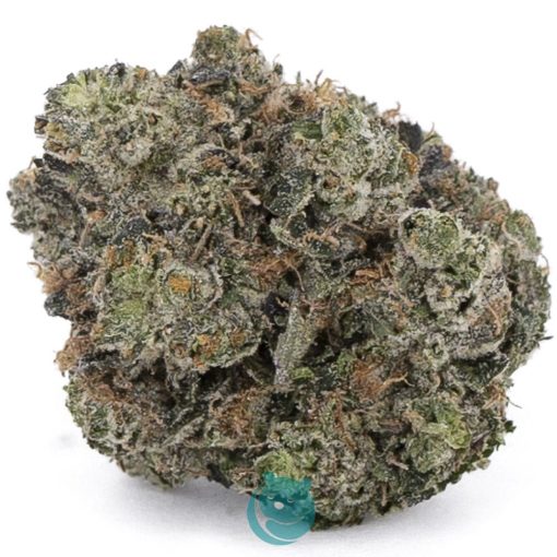 Pink Rob Ford AAAA - Indica