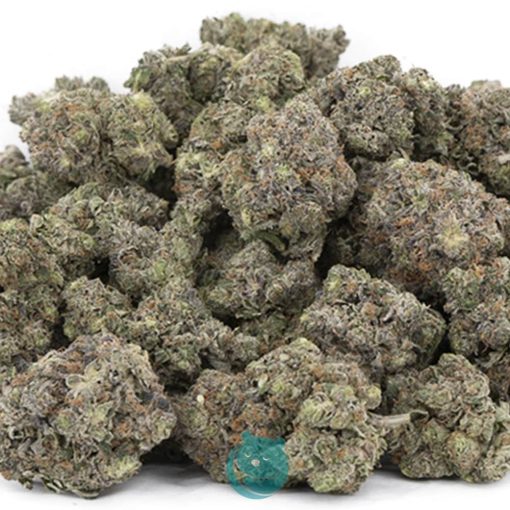Wholesale - Pink Rob Ford - AAAA