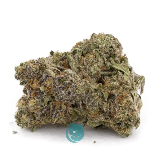 pop rox craft nug