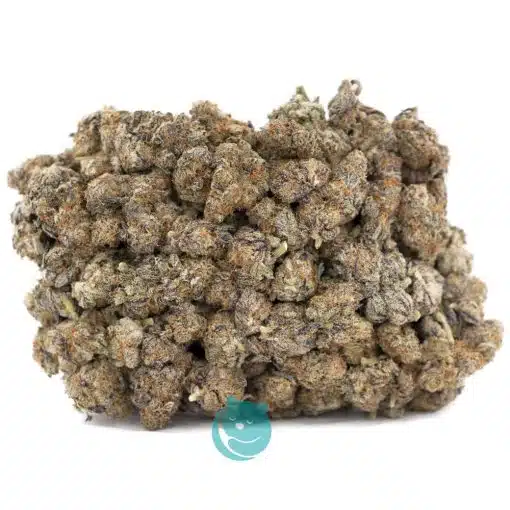 Wholesale - Pure Michigan - Craft