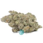 sugarcane craft nug