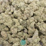 sugarcane craft wholesale