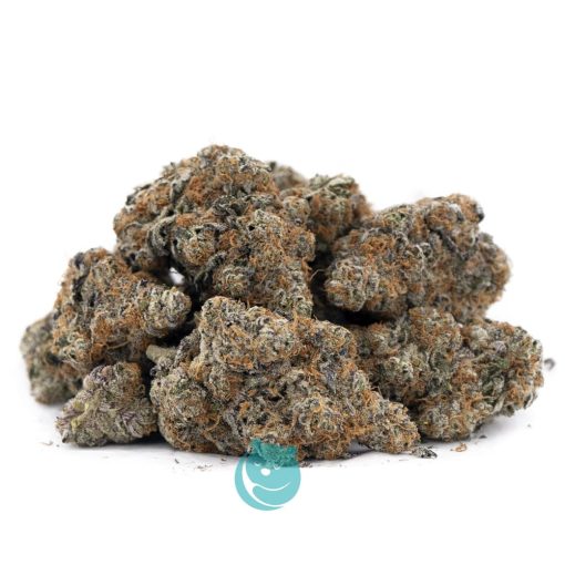 Wholesale - Tropical Fuel - Craft