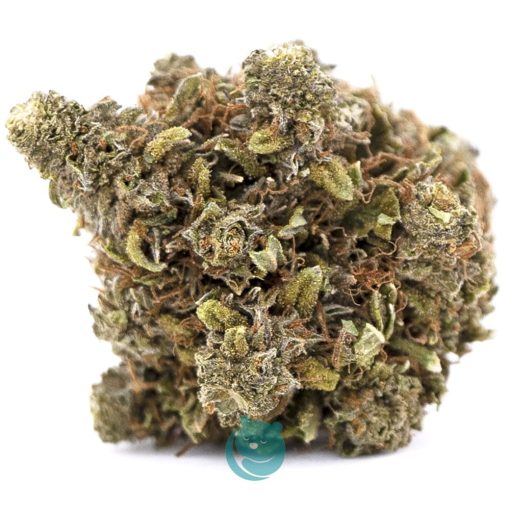 uberkush a nug