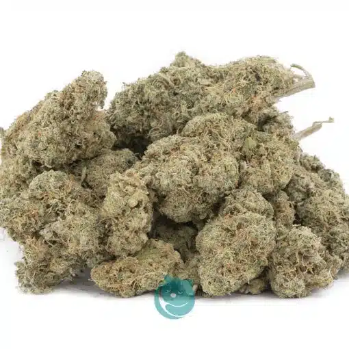 Wholesale - White Widow Cheese - Craft